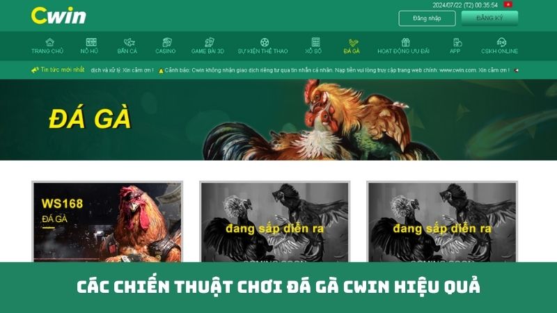 Các chiến thuật chơi Đá Gà Cwin hiệu quả