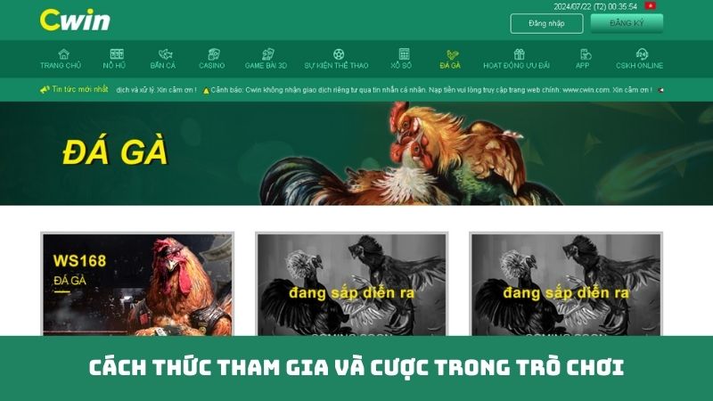 Cách thức tham gia và cược trong trò chơi