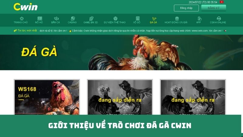 Giới thiệu về trò chơi đá gà Cwin