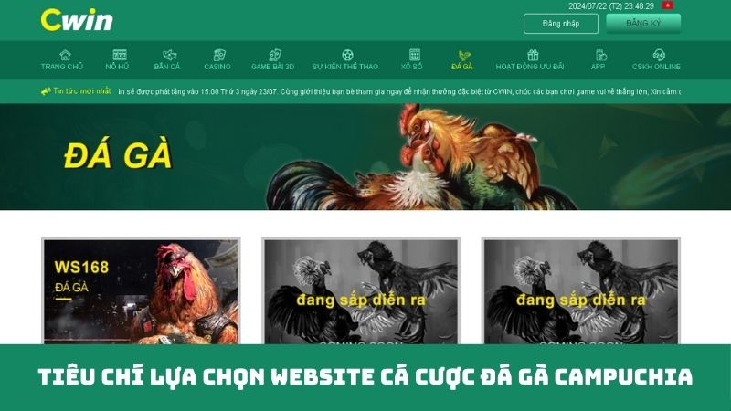 Tiêu chí lựa chọn website cá cược đá gà Campuchia